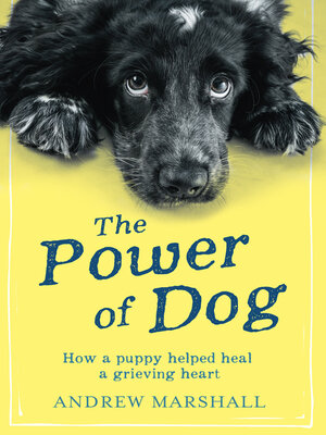 cover image of The Power of Dog